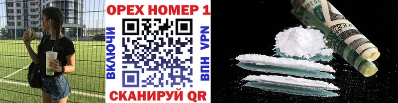 Купить закладки  Каменск-Шахтинский  Кокаин FishScale 