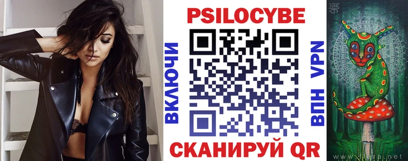 Галлюциногенные грибы Psilocybe Каменск-Шахтинский